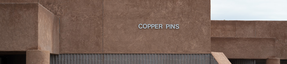 Information Technology Branch